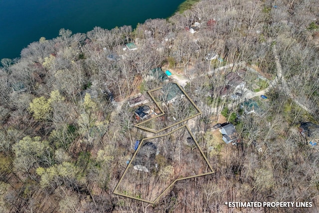 3553 Alpine Ct, Hillsdale, MI 49242 - birds eye view of property