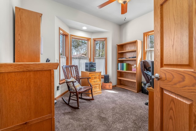 3553 Alpine Ct, Hillsdale, MI 49242 - carpeted office with a wealth of natural light, a ceiling fan, and baseboards