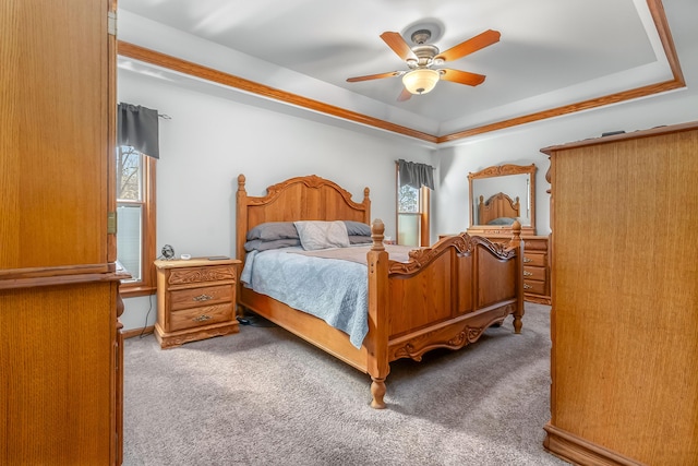 3553 Alpine Ct, Hillsdale, MI 49242 - bedroom with a ceiling fan, carpet flooring, and a tray ceiling