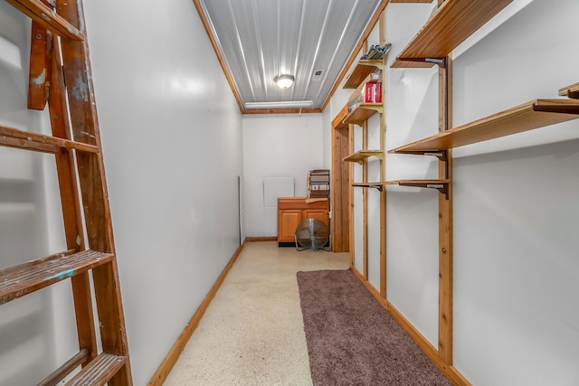 3553 Alpine Ct, Hillsdale, MI 49242 - view of storage area