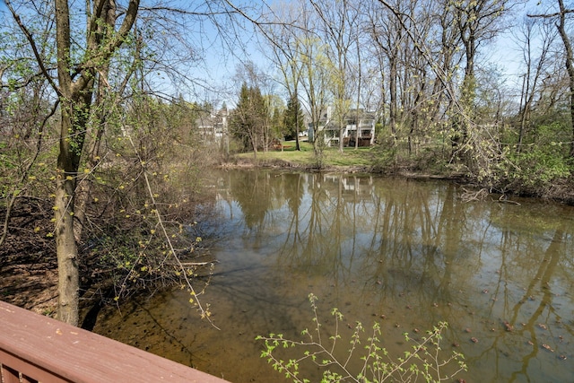 view of water feature