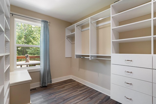 walk in closet with dark wood-style flooring and visible vents