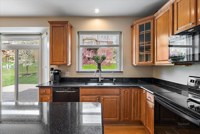 kitchen with plenty of natural light, a sink, brown cabinetry, and black appliances