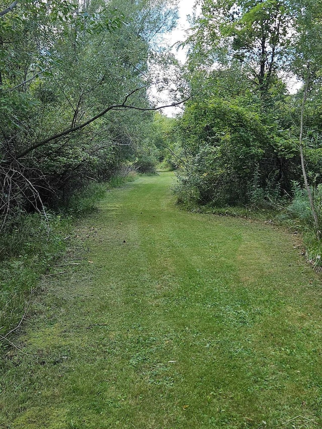 view of yard featuring a view of trees