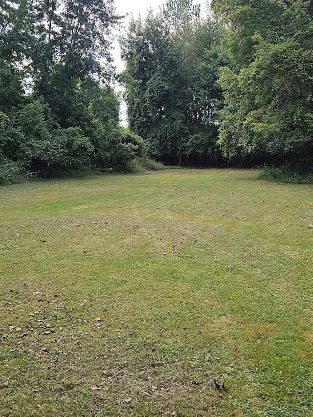 view of yard with a forest view