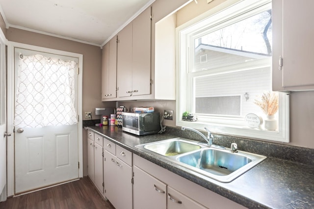 kitchen with dark countertops, a sink, dark wood-type flooring, and stainless steel microwave