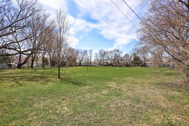 view of yard