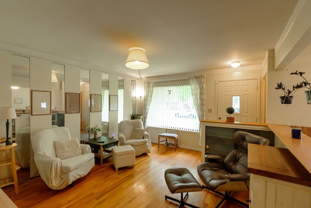 sitting room featuring light wood-type flooring