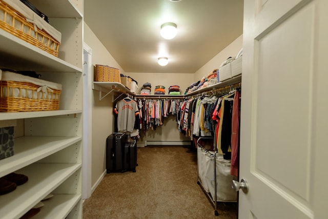 walk in closet with a baseboard radiator and carpet flooring