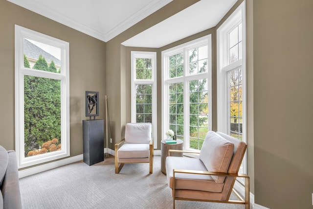 living area with baseboards, ornamental molding, and carpet flooring