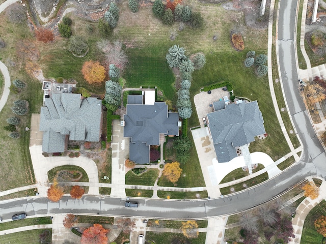 bird's eye view