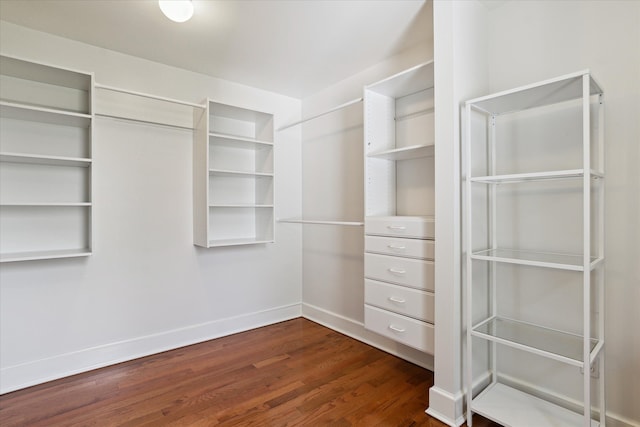 spacious closet with dark wood-style floors