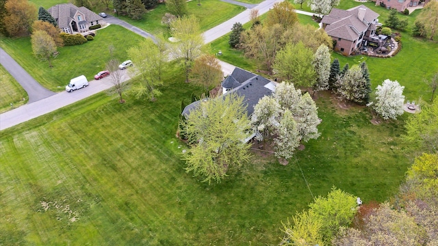 bird's eye view