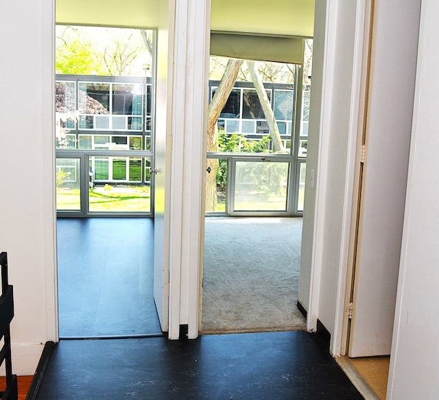 doorway featuring carpet floors