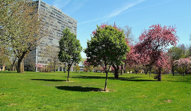 view of community with a yard