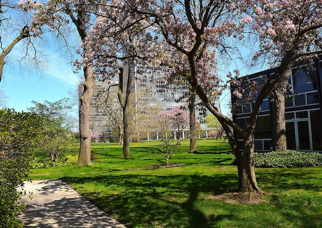 view of community with a lawn
