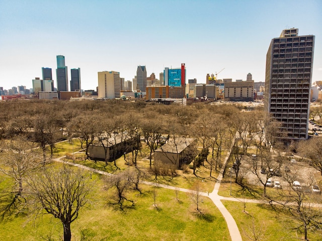 property's view of city