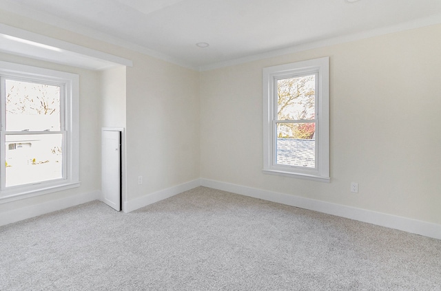 23040 Shakespeare Ave, Eastpointe, MI 48021 - unfurnished room with crown molding, carpet flooring, and baseboards