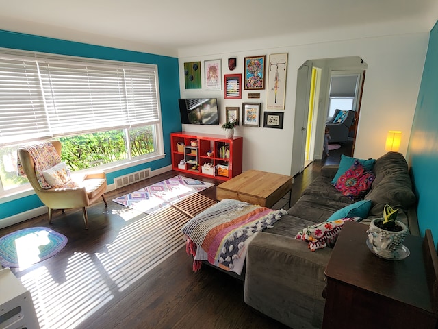 bedroom featuring multiple windows and wood finished floors