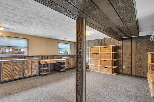 basement with wood walls, carpet, and plenty of natural light