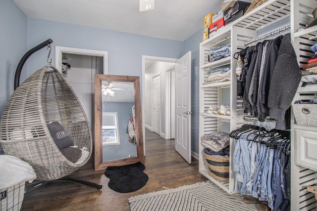 spacious closet with a ceiling fan and wood finished floors