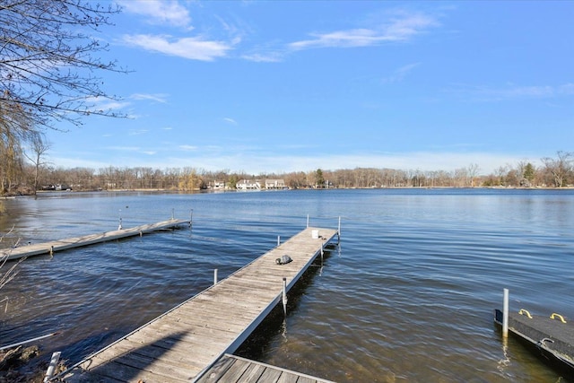 dock area with a water view