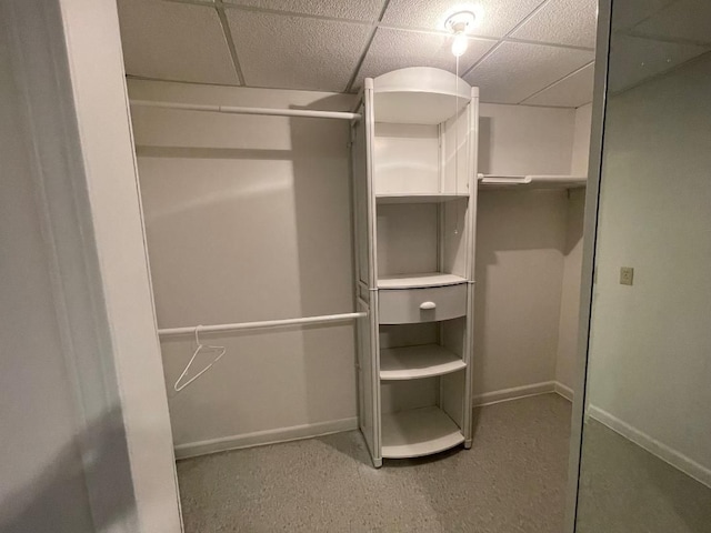 46132 Royal Dr, Chesterfield, MI 48051 - walk in closet with a paneled ceiling