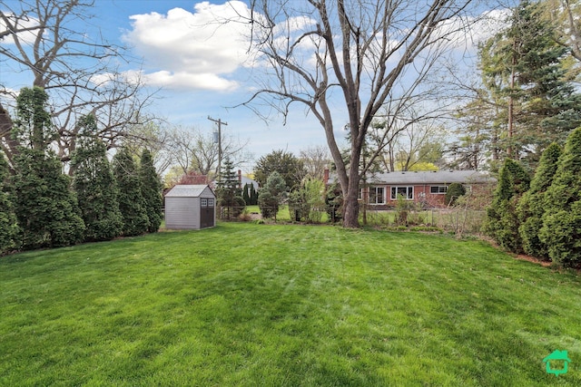 view of yard with an outdoor structure and a storage unit