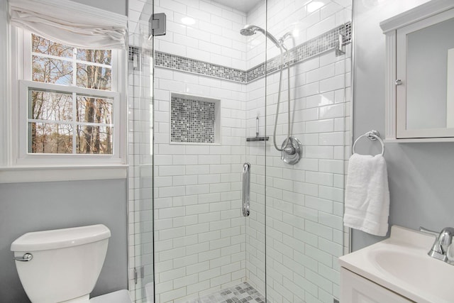 bathroom with vanity, a stall shower, and toilet