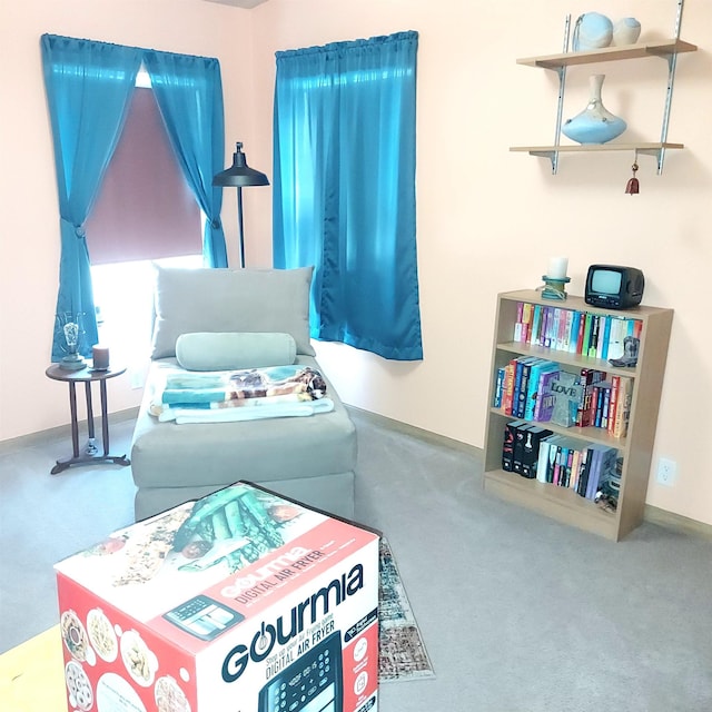 living area featuring baseboards and carpet flooring