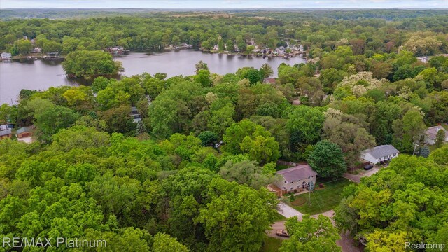 11520 Weiman Dr, Pinckney, MI 48169 - bird's eye view of a heavily wooded area and a large body of water