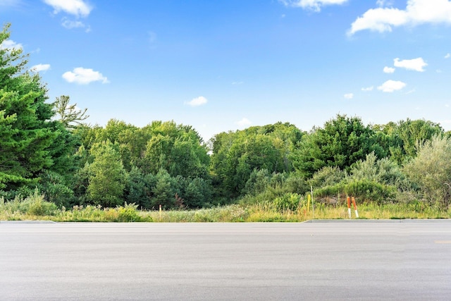 00 W Hammond, Traverse City, MI 49686