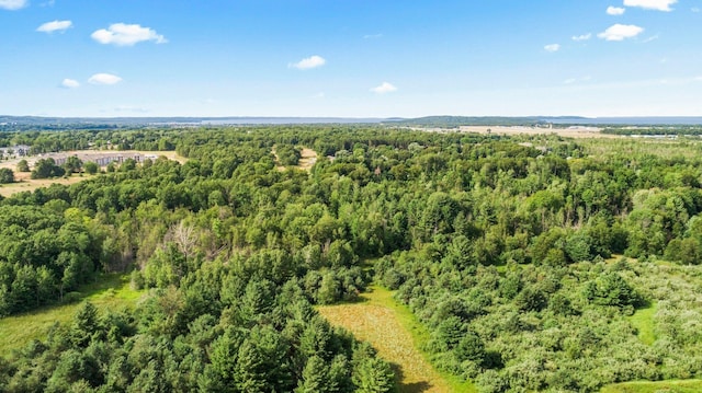 00 W Hammond, Traverse City, MI 49686