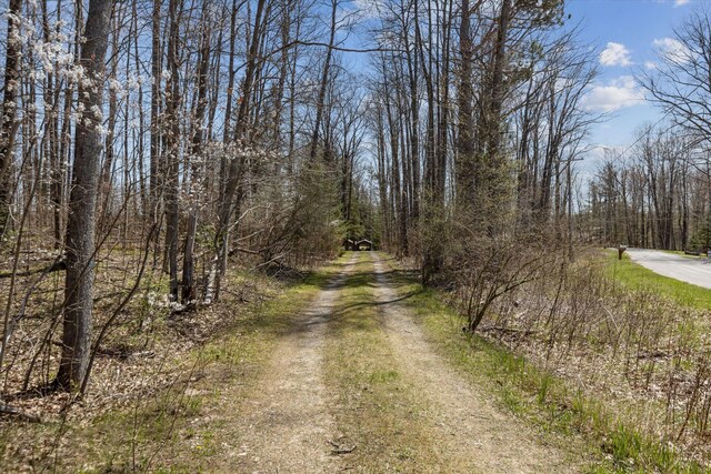 3895 Pine St, Glennie, MI 48737 - view of street featuring a forest view