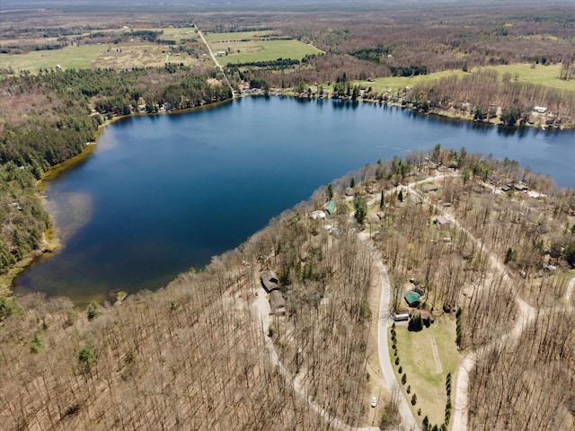 3895 Pine St, Glennie, MI 48737 - view of property location with a large body of water