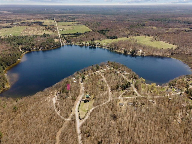 3895 Pine St, Glennie, MI 48737 - aerial view of property's location featuring a large body of water and a heavily wooded area