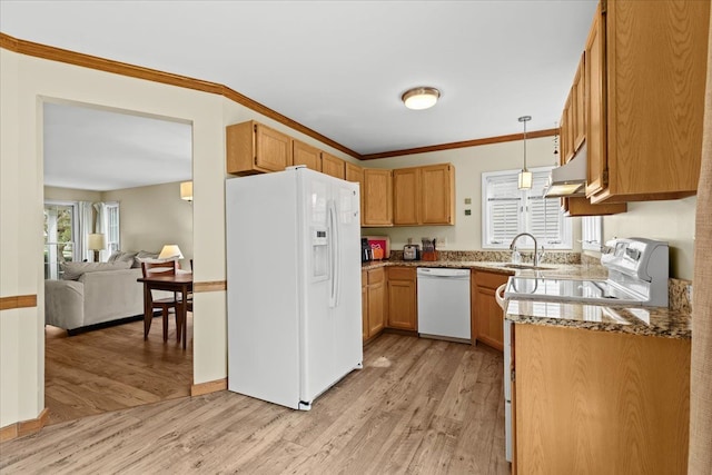 514 Mill Pond Dr, Fenton, MI 48430 - kitchen with pendant lighting, white appliances, light wood-style floors, and under cabinet range hood