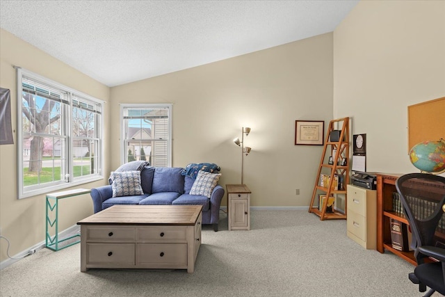 514 Mill Pond Dr, Fenton, MI 48430 - office space featuring a textured ceiling, baseboards, vaulted ceiling, and light carpet