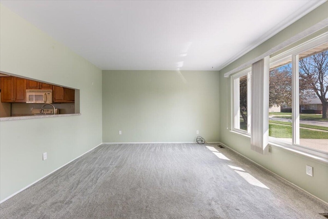 empty room featuring a sink, carpet, and baseboards