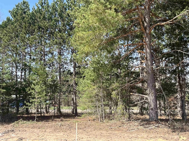 view of nature with a view of trees