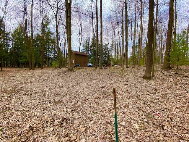 Cathedral Ave, Interlochen, MI 49643