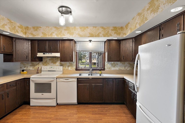 kitchen featuring white appliances, dark brown cabinetry, a sink, and light countertops