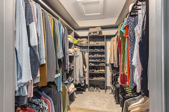 walk in closet with attic access and carpet