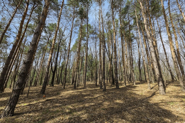 view of landscape with a wooded view