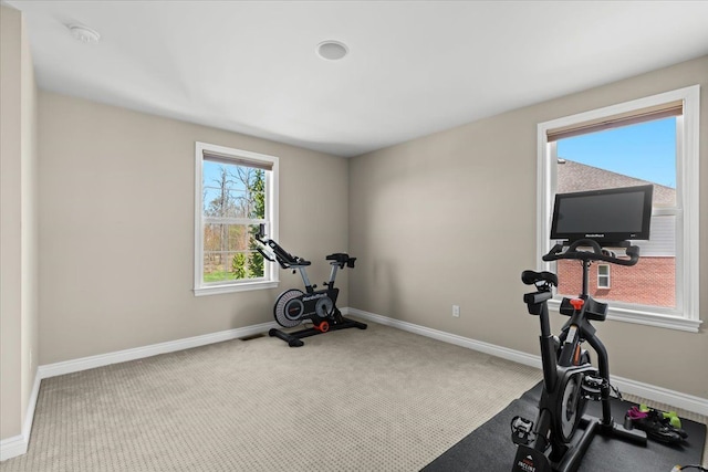exercise area featuring baseboards and carpet