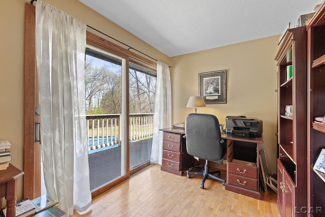 3620 Sharp Rd, Adrian, MI 49221 - home office featuring light wood-type flooring