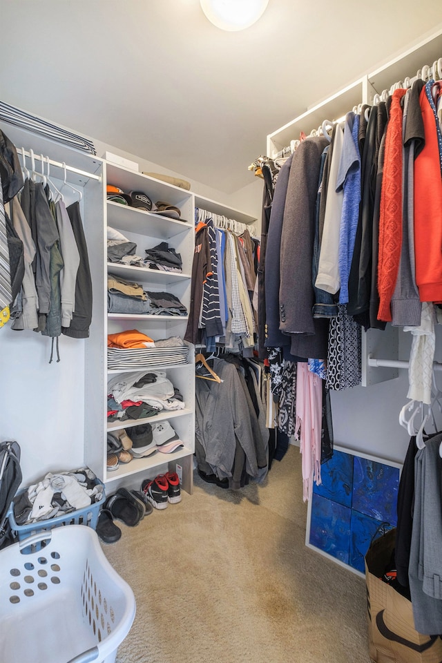 walk in closet featuring carpet flooring