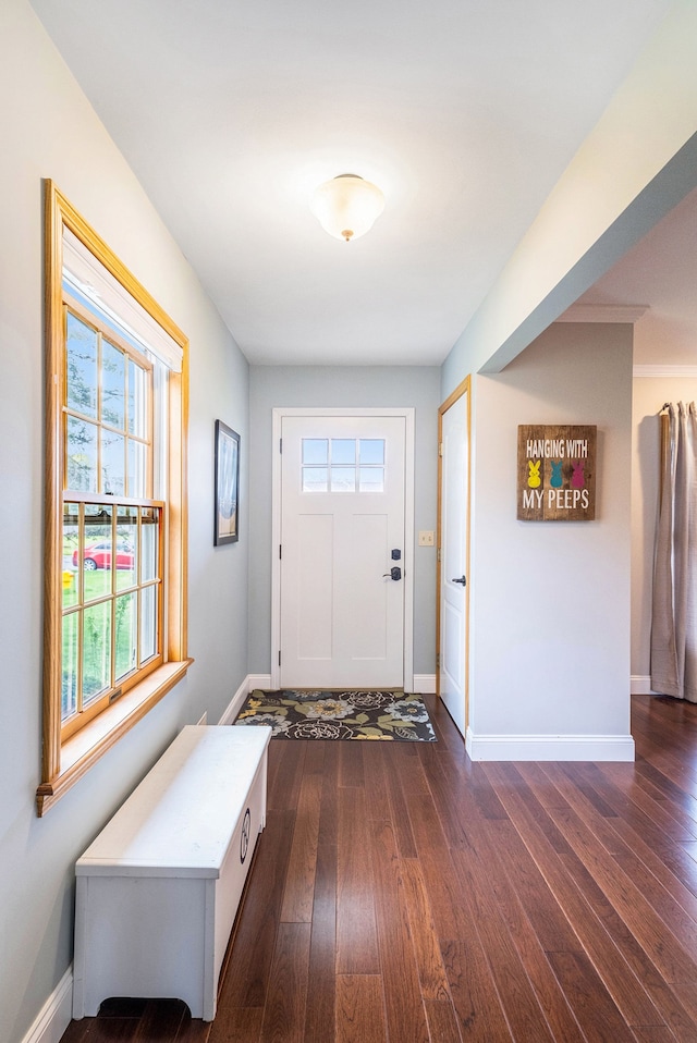 entrance foyer featuring baseboards and dark wood-style flooring