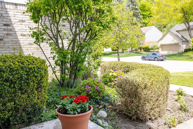 44492 Midway Dr, Novi, MI 48375 - view of yard featuring concrete driveway