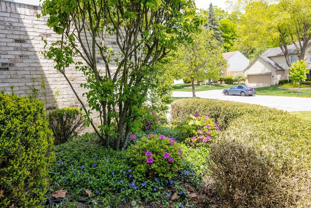 44492 Midway Dr, Novi, MI 48375 - view of green lawn